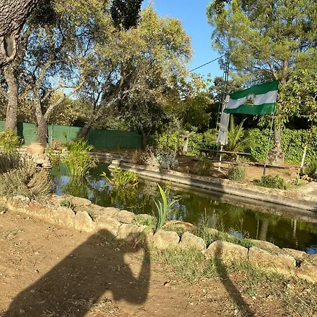 Olivar El Pino Holiday home *